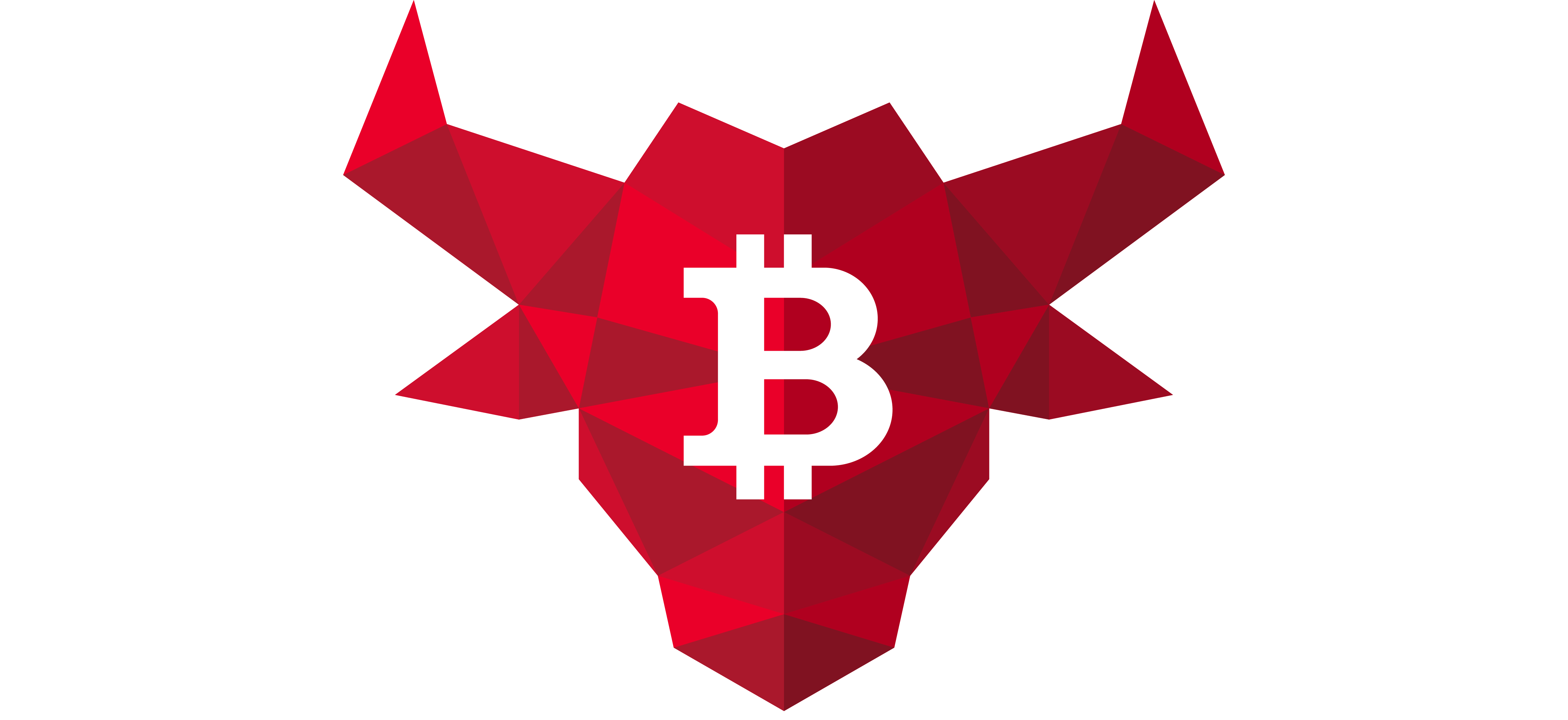 Bull Bitcoin logo